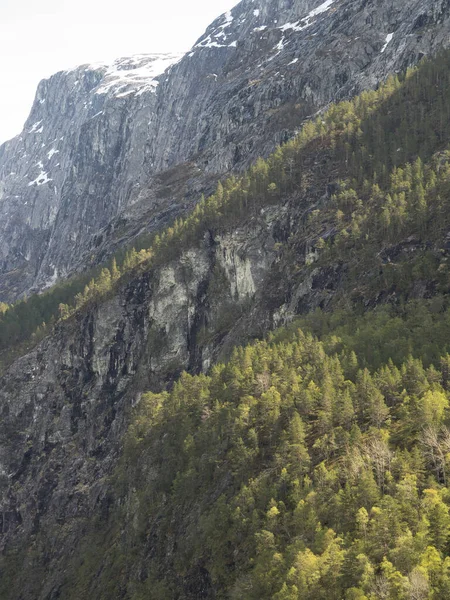 Malowniczy Widok Krajobraz Naturalny — Zdjęcie stockowe