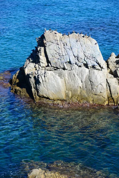 Naturutsikt Över Strandlandskapet — Stockfoto