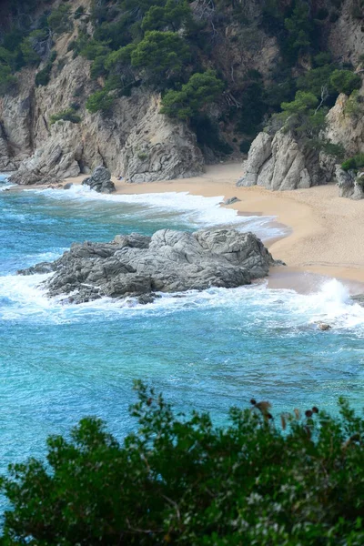 Praia Paisagem Natureza Vista — Fotografia de Stock