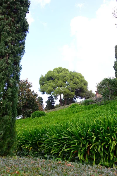 Espanha Lloret Mar Gerona Provincial Vista Cidade Cloto Jardim Botânico — Fotografia de Stock