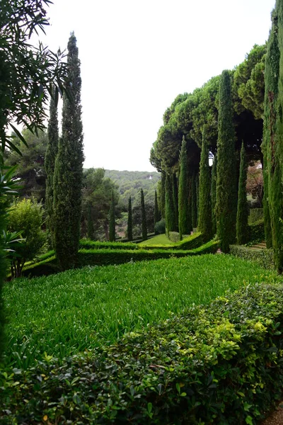 Spain Lloret Mar Provincial Gerona City Views Botanical Garden Clothilde — стокове фото
