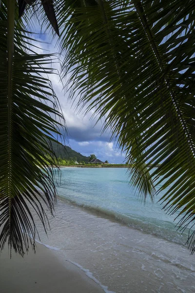 Seszele Silhouette Island Hotel Belle Tortue Plaży Anse Passe — Zdjęcie stockowe