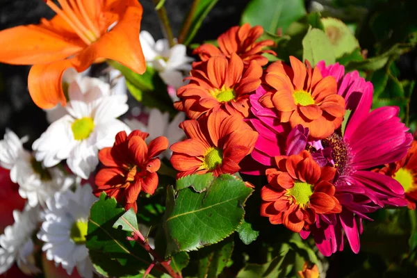 Blumenbuch Mit Tulpen Rosen — Stockfoto