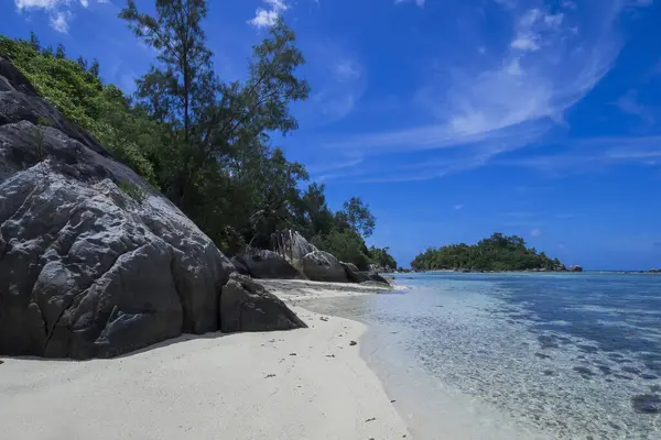 Seychelles Sur Cerf Surplombant Ile Cachée — Photo