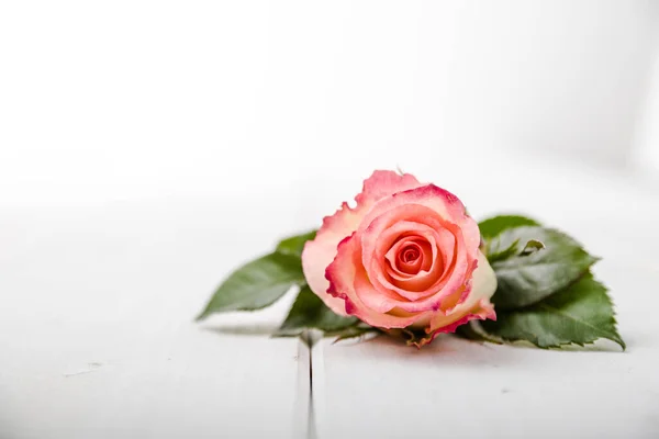 Fragrant flowers on white wood base