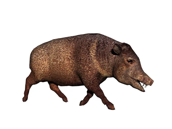 Renderowanie Hipopotama — Zdjęcie stockowe