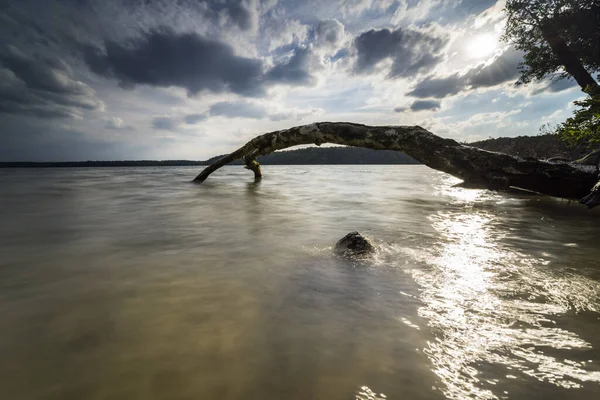 Νεκρά Δέντρα Στο Νερό Καλοκαίρι Και Ζεστό Φως Στη Λίμνη — Φωτογραφία Αρχείου