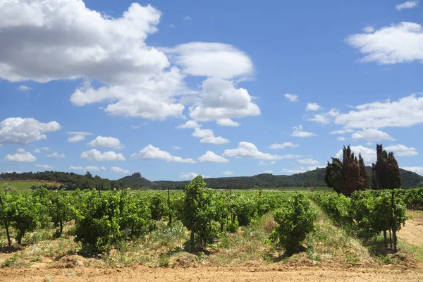 Château Saint Martin Toques Dans Sud France — Photo