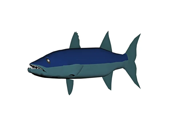 Shark Vector Illustration Isolated White Background — Stock Photo, Image