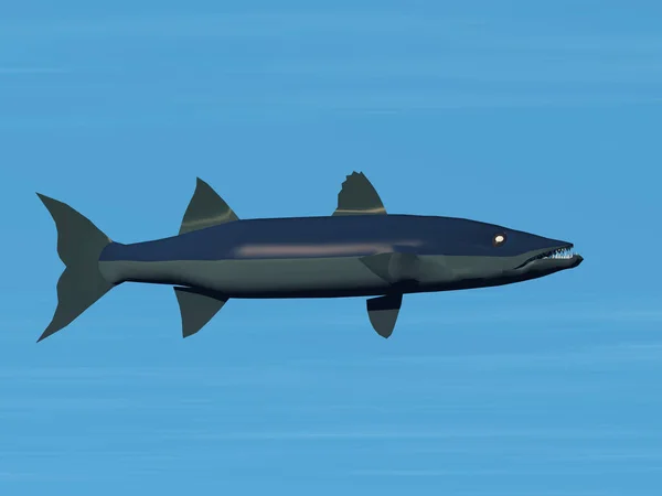 Rekin Dużym Niebieskim Tłem — Zdjęcie stockowe