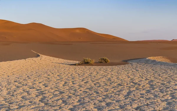 Sossusvlei Sossusvlei Area Namib Desert Namibia Sossusvlei Area Namib Desert — стоковое фото