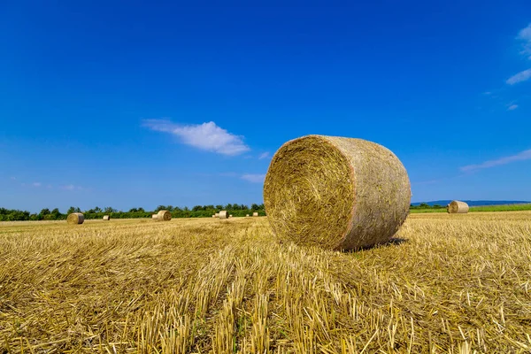 Campo Agrícola Com Fardos Palha — Fotografia de Stock