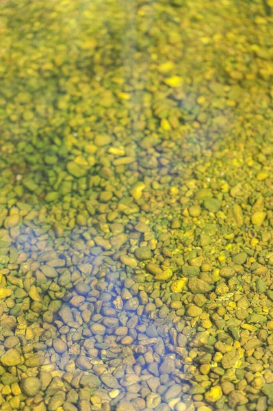 Piedras Cubiertas Bajo Agua Con Algas Necesidades Del Artista — Foto de Stock