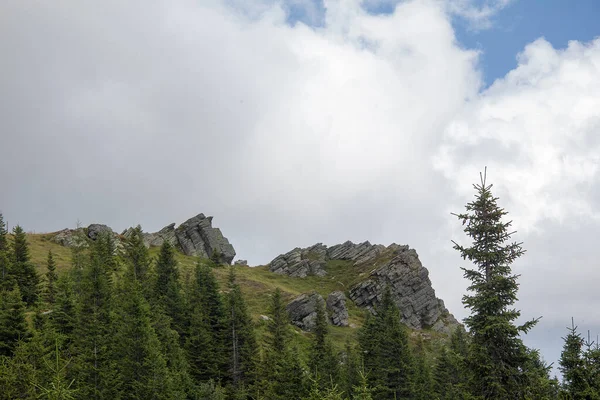 Naalden Rotsen Een Groen Bruine Weide Een Alpenweide Voorkant Van — Stockfoto