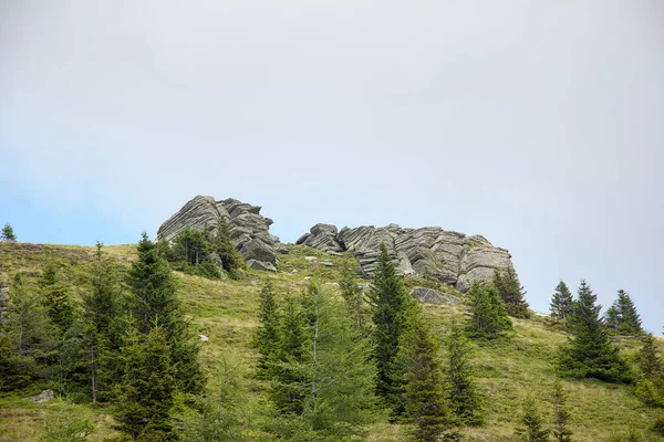 Naalden Rotsen Een Groen Bruine Weide Een Alpenweide Voorkant Van — Stockfoto