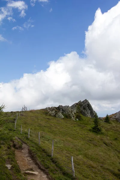 Jehličnany Skály Zelenohnědé Louce Vysokohorské Pastvině Před Zataženou Oblohou Úrovni — Stock fotografie