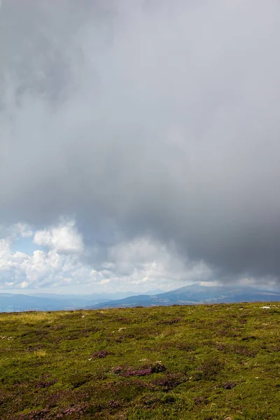 Хвойные Скалы Зелено Коричневом Лугу Альпийском Пастбище Перед Облачным Небом — стоковое фото