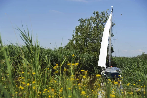 ネウゼドラー湖の運河の葦の間の帆船 — ストック写真