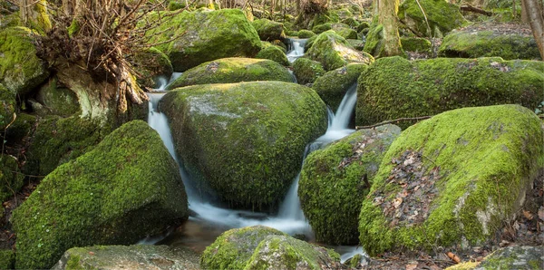 Small Waterfall Forest — Stock Photo, Image