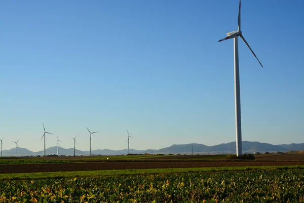 Větrná Energie Jižním Falci — Stock fotografie