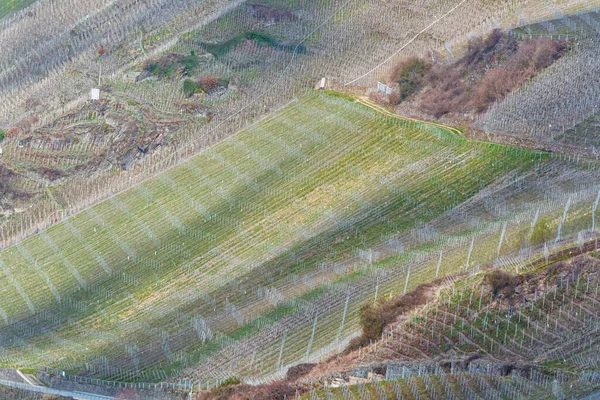 Curved Road Vineyards Moselle Germany — Stock Photo, Image