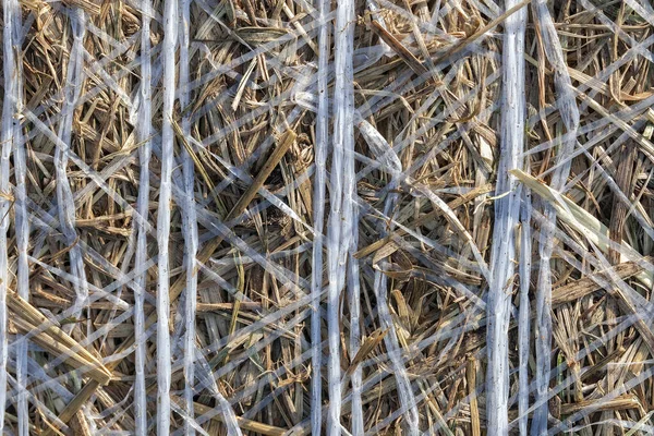 Detailansicht Einer Strohwalze Künstlerbedarf Hintergrund Textur — Stockfoto