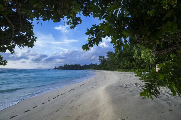 Dream Island Silhouette Island Seychelles — Stock Photo, Image