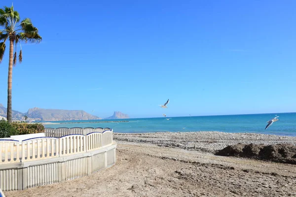 Stenar Stranden Och Blått Havsvatten Costa Blanca — Stockfoto