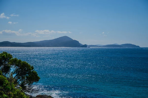 View Coast Seal Rocks Sunny Day — Stock Photo, Image