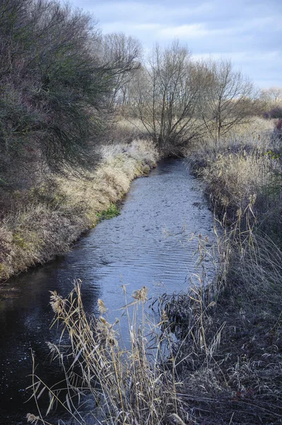 Rivière Wulka Dans Burgenland Avec Des Rives Automne — Photo