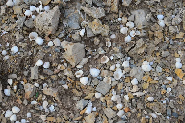 西班牙地中海上的石头 — 图库照片