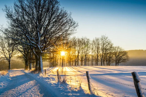 Wintersaison Verschneite Landschaft — Stockfoto