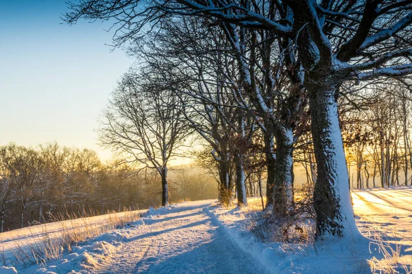 Wintersaison Verschneite Landschaft — Stockfoto