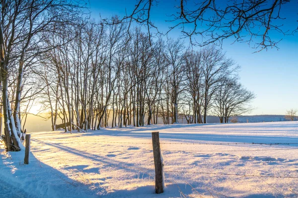 Wintersaison Verschneite Landschaft — Stockfoto