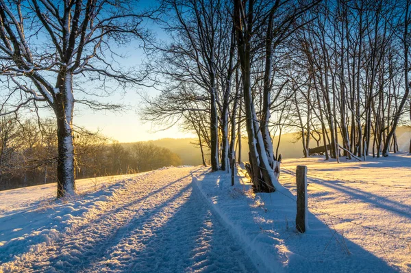 Wintersaison Verschneite Landschaft — Stockfoto