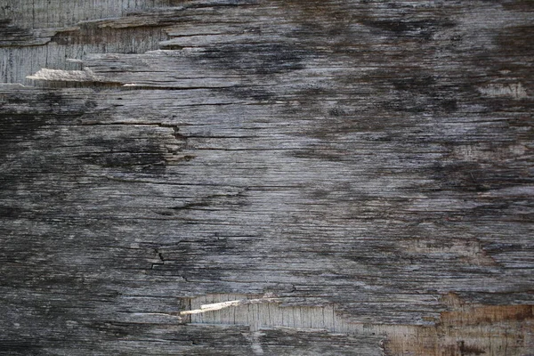 Dřevěné Pozadí Dřevěná Stěna — Stock fotografie
