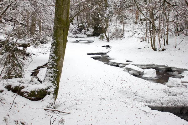 川の風景は スタイリアの森林自然保護区で冬の雪で楽しんだ — ストック写真