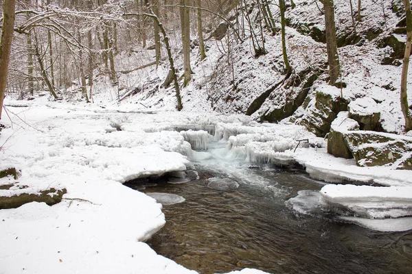 Paesaggio Fluviale Gioito Con Neve Inverno Una Riserva Naturale Foresta — Foto Stock