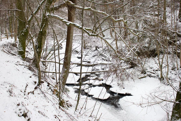 川の風景は スタイリアの森林自然保護区で冬の雪で楽しんだ — ストック写真