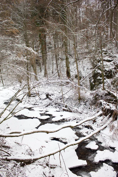 Paisaje Fluvial Regocijado Con Nieve Invierno Una Reserva Natural Forestal — Foto de Stock