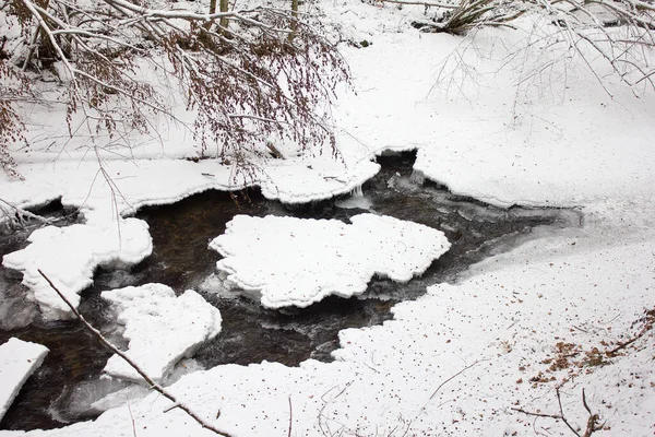 Paysage Fluvial Réjoui Par Neige Hiver Dans Une Réserve Naturelle — Photo