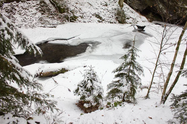 Paisagem Fluvial Regozijada Com Neve Inverno Uma Reserva Natural Florestal — Fotografia de Stock