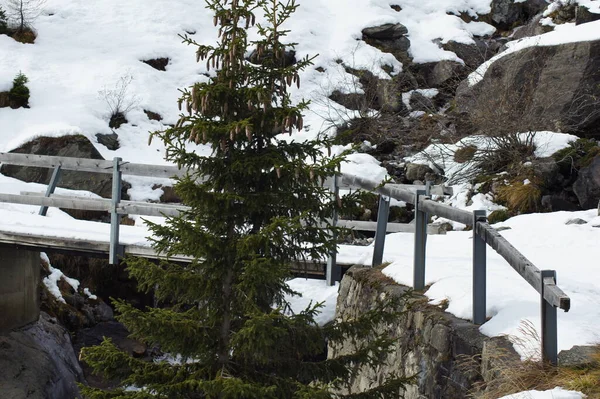 Bridge Alps Pass — Stock Photo, Image