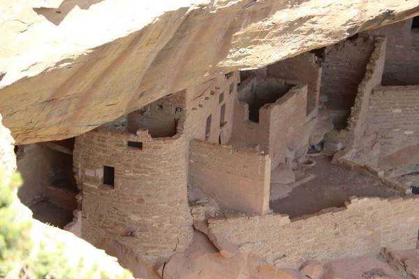 Cliff Palace Mesa Verde — Stok fotoğraf