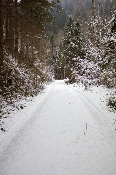 Δρόμος Χιόνι Μέσα Από Ένα Δάσος Χειμώνα Στη Στυρία — Φωτογραφία Αρχείου