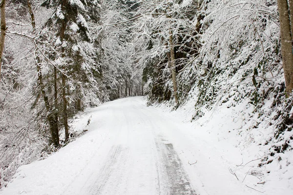 Camino Con Pista Nieve Través Bosque Invierno Estiria —  Fotos de Stock