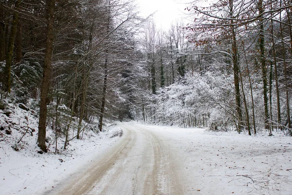 Camino Con Pista Nieve Través Bosque Invierno Estiria —  Fotos de Stock