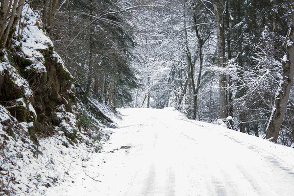 Camino Con Pista Nieve Través Bosque Invierno Estiria —  Fotos de Stock