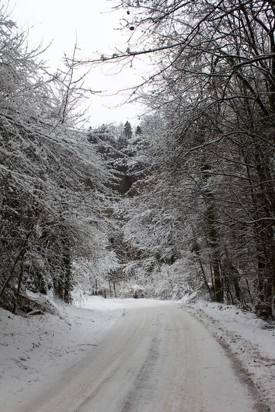 Estrada Com Pista Neve Através Uma Floresta Inverno Estíria — Fotografia de Stock