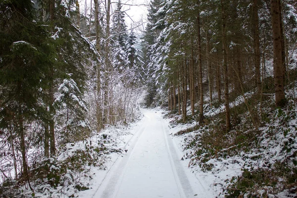 在施蒂里亚有雪道穿过森林的路 — 图库照片